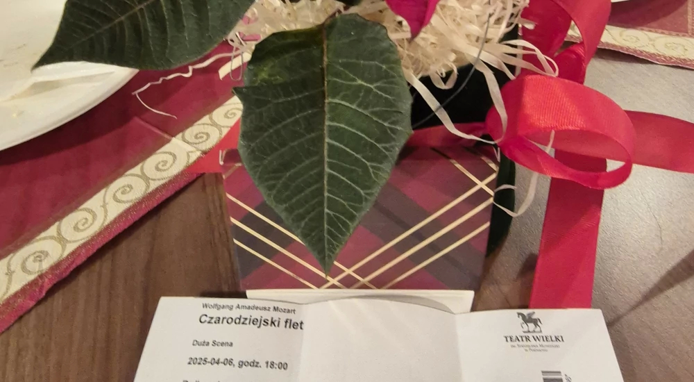 V0lHSUxJQSAyMDI0 - Metalmex - 5 - 628582